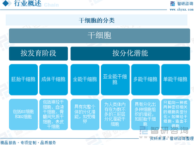 趋势研判！2025年中国干细胞治疗行业发展现状及竞争格局研判 干细胞治疗迎来发展良机，临床应用前景广阔