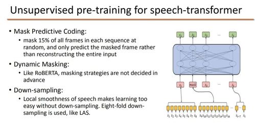 从算法到应用 解析滴滴端到端语音AI与人体干细胞技术的开发与实践