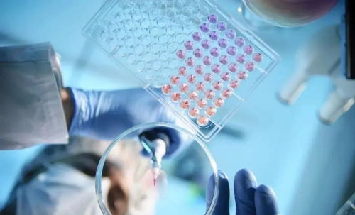 人体为什么需要补充干细胞？——探索干细胞技术的开发与应用